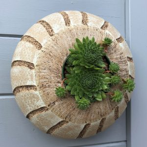 SGV40 -round pod - Mint Zen Garden -28cms diameter