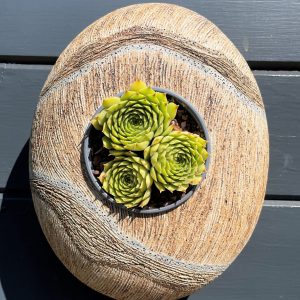 SGV107 - Oval Pod - Grey-taupe pebble - 22x26cms