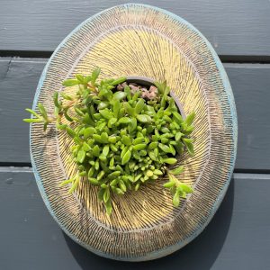 SGV111 - Oval pod - Overstrand - 22x26cm