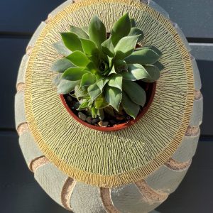 SGV133 - Oval pod - 22x26cms - Zen - soft green