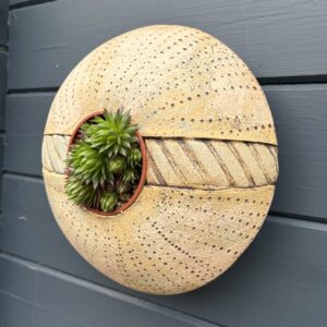 SGV303 - Round Pod - 28cm diameter - Shoreline Find - Drainage holes for planting Keyhole for wall mounting