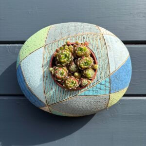 SGV308 -oval pod - 22x26cm -Blue aspect oval 1 - Drainage holes for planting Keyhole for wall mounting