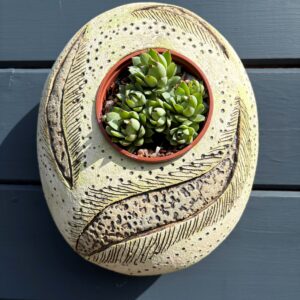 SGV309 - Oval Pod - 22x26cm -Botanic - Drainage holes for planting Keyhole for wall mounting