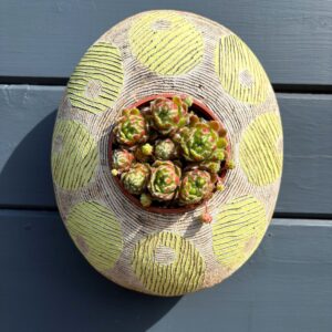 SGv311 - Oval pod - 22x26cm - Indian garden - Drainage holes for planting Keyhole for wall mounting